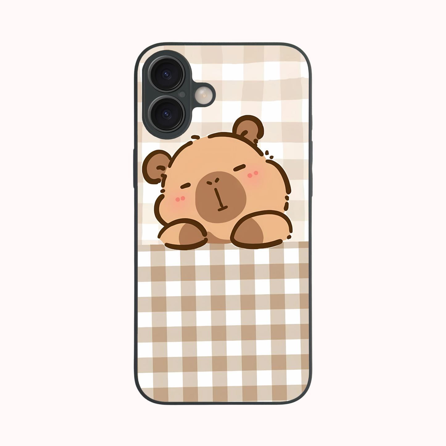 iPhone 16 Plus