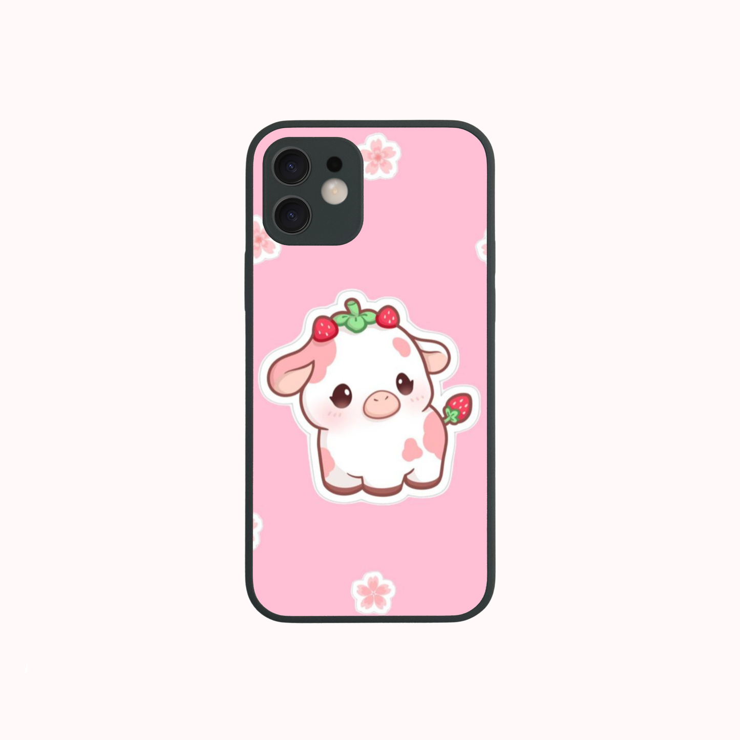 iPhone 12 Mini