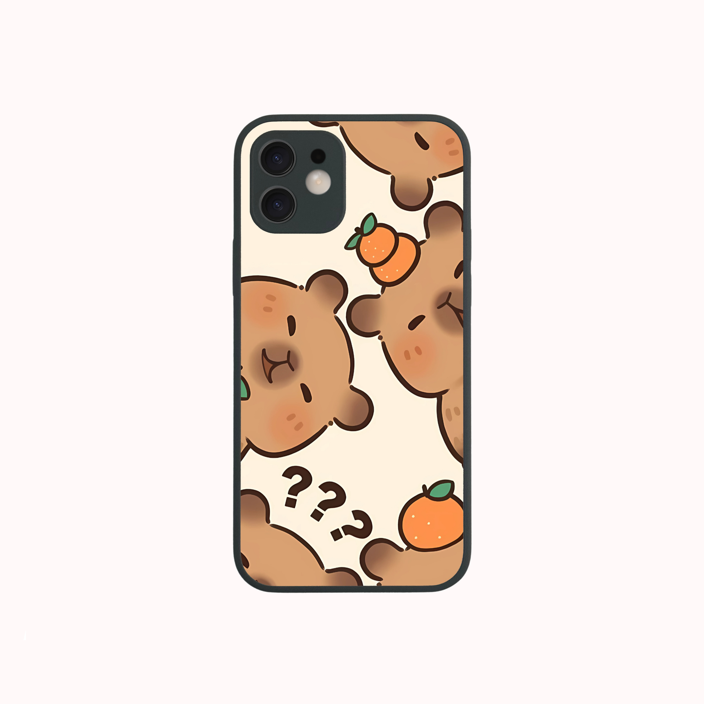 iPhone 12 Mini