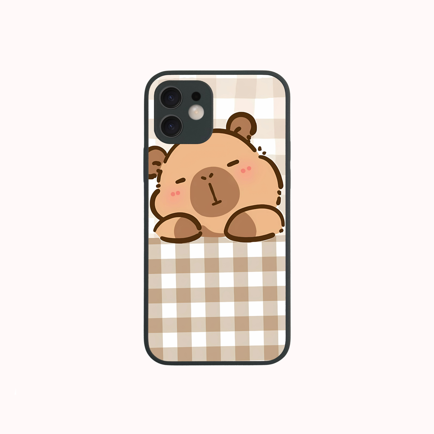 iPhone 13 Mini