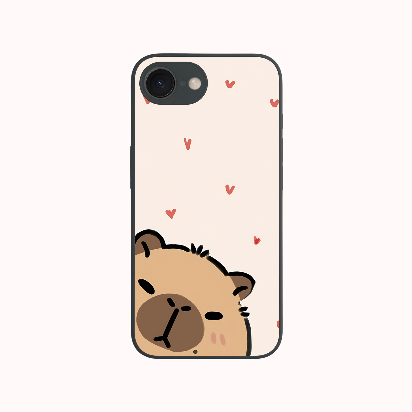 iPhone 12 Mini