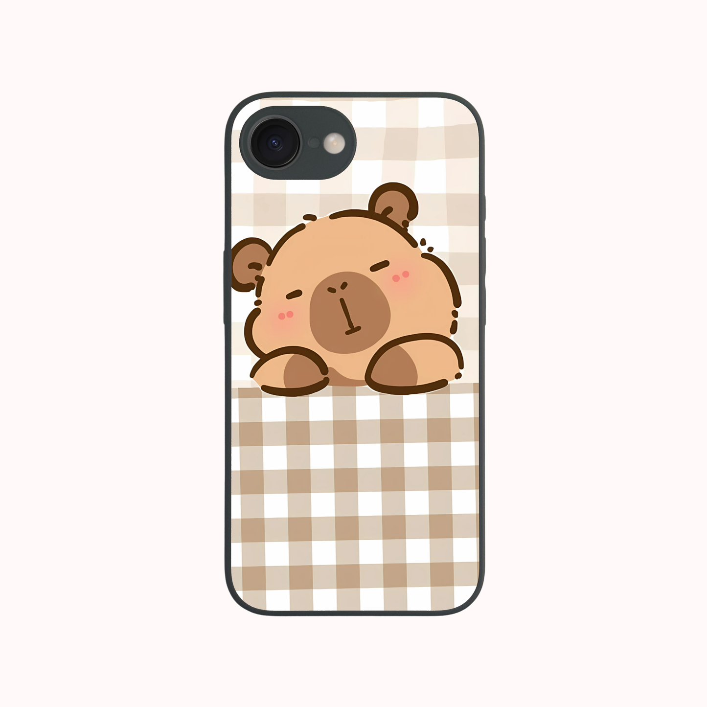 iPhone 16E